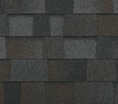 Malarky Vista Black Oak Swatch